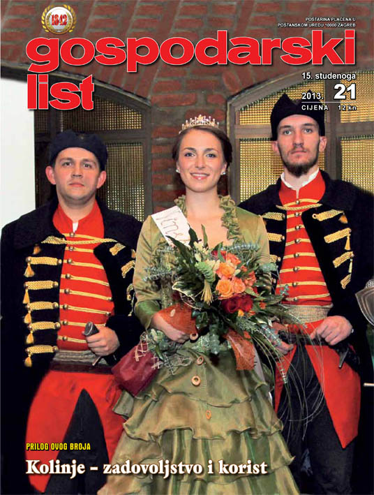 Izdanje 15.11.2013.